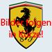 CK-Cabrio, Ferrari 365 GTS/4 Daytona Spider / 365 GTB/4 Conversion ´69 -´73 Verdecke