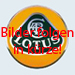 CK-Cabrio, Verdecke, Lotus Elan SE M100 ´89 -´95  Baugleich Kia Roadster
