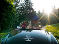 Mercedes 190SL W121 B II Verdeck 1955 - 1963